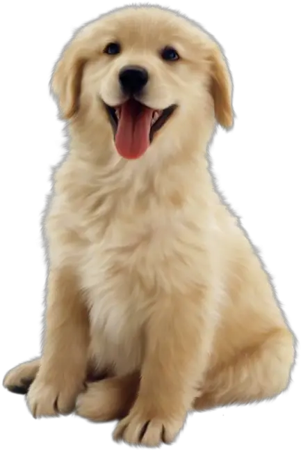 Cottonwood Puppy Cute Dog Transparent Background