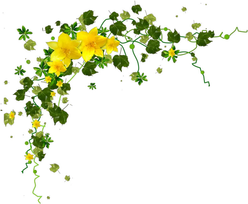 Yellow Flowers Corner Png