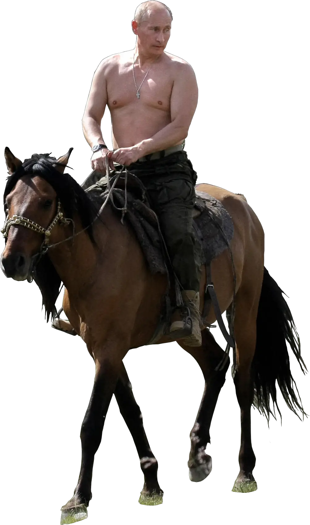 Transparent Putin Riding Png Putin On Horse No Background