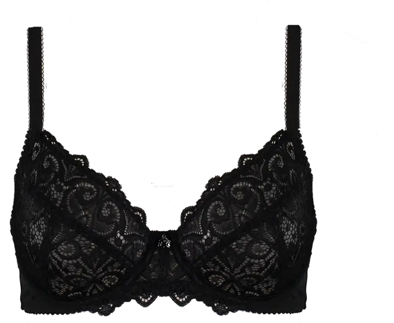 Coconut Bra Png Black Lace Bra Png