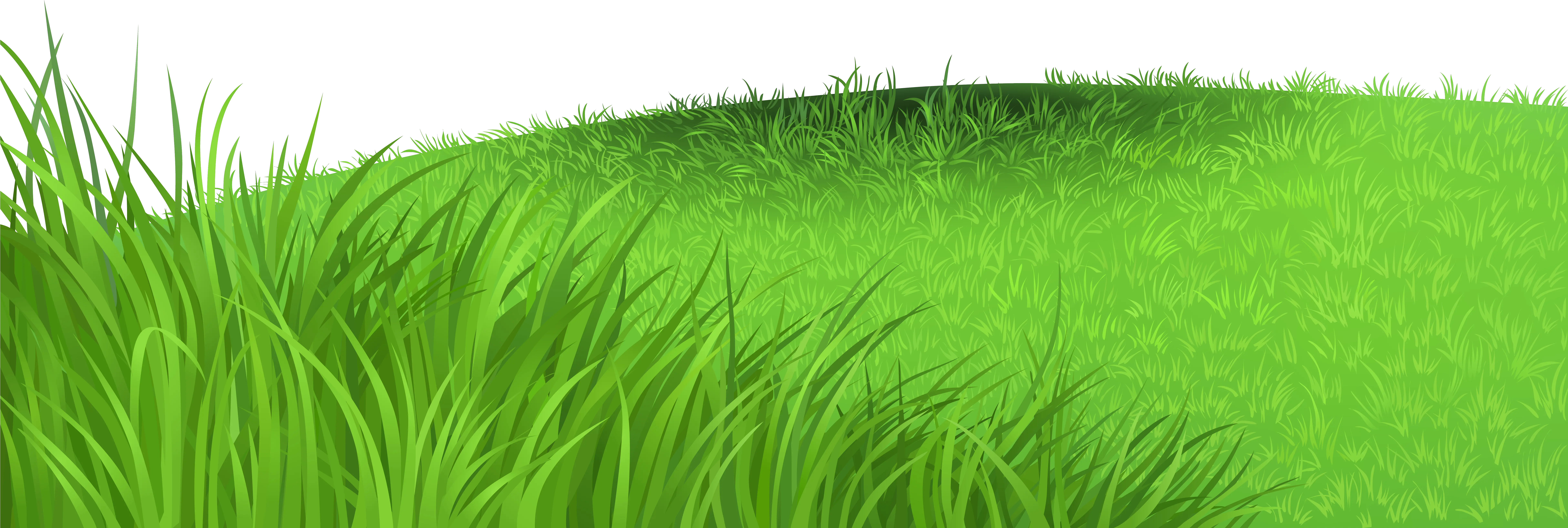 Coral Clipart Sea Grass Grass Clipart Png