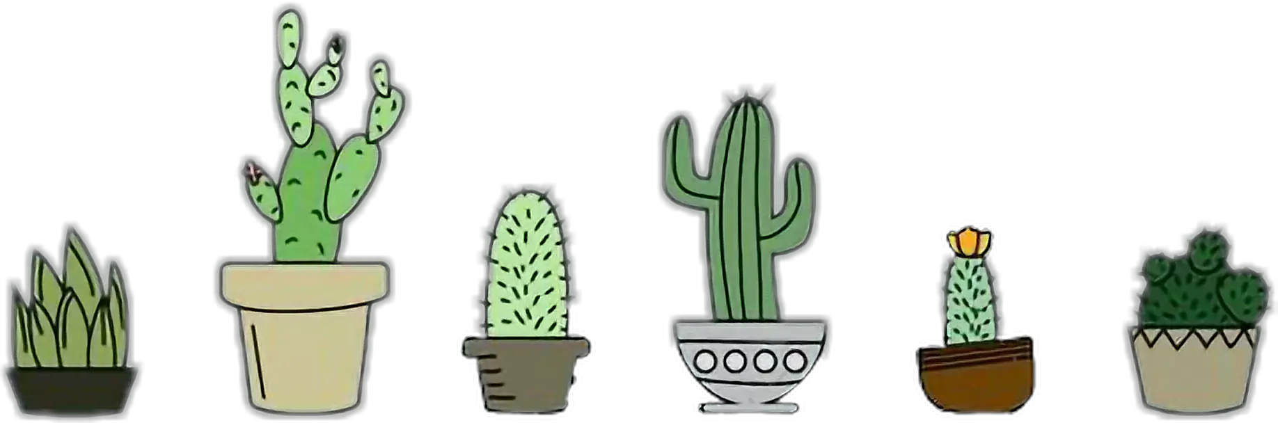 Cactus Pinterest Laptop Backgrounds