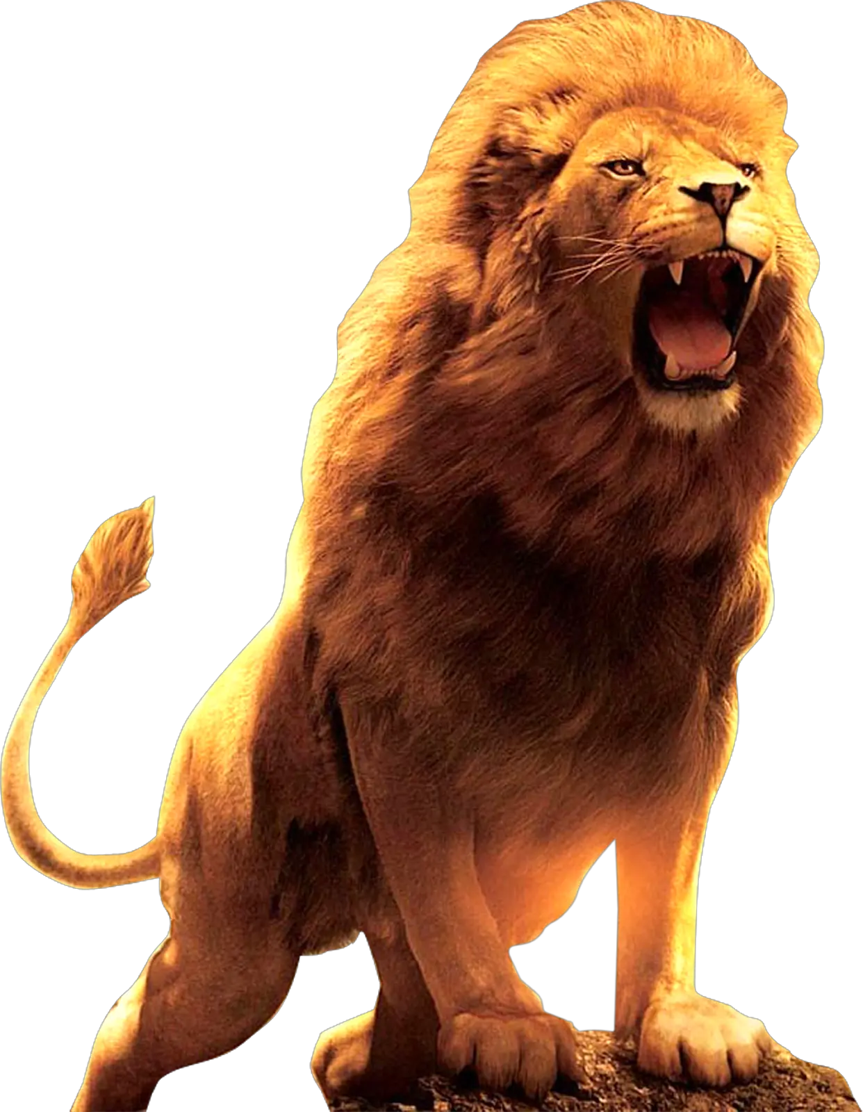 Lion Roar Wallpaper Hd