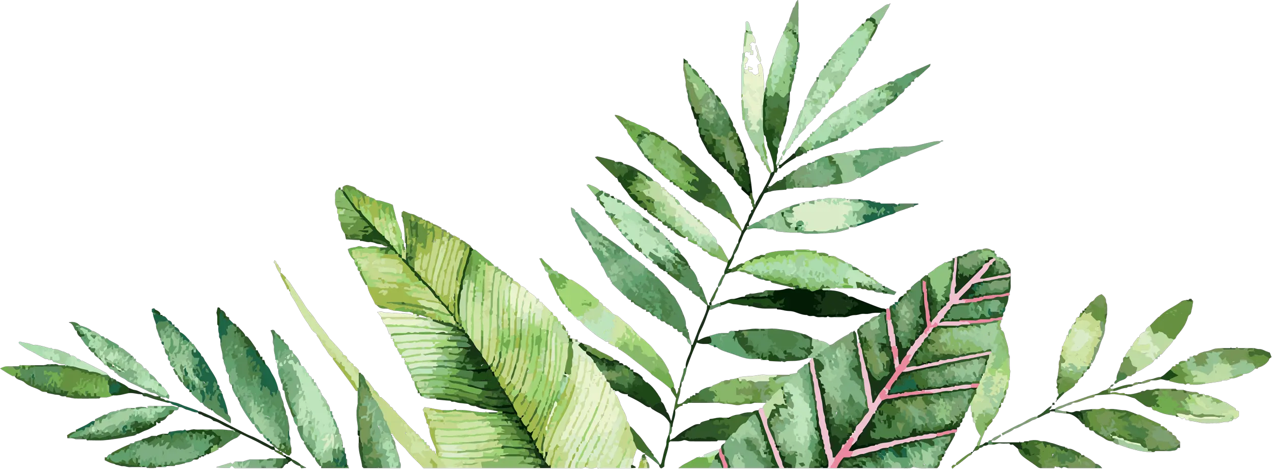 Palm Leaves Graphic Royalty Free Botanical Border