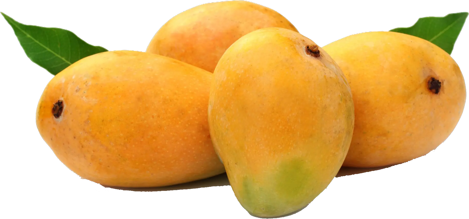 Transparent Mango Fruit Png Mango Fruit