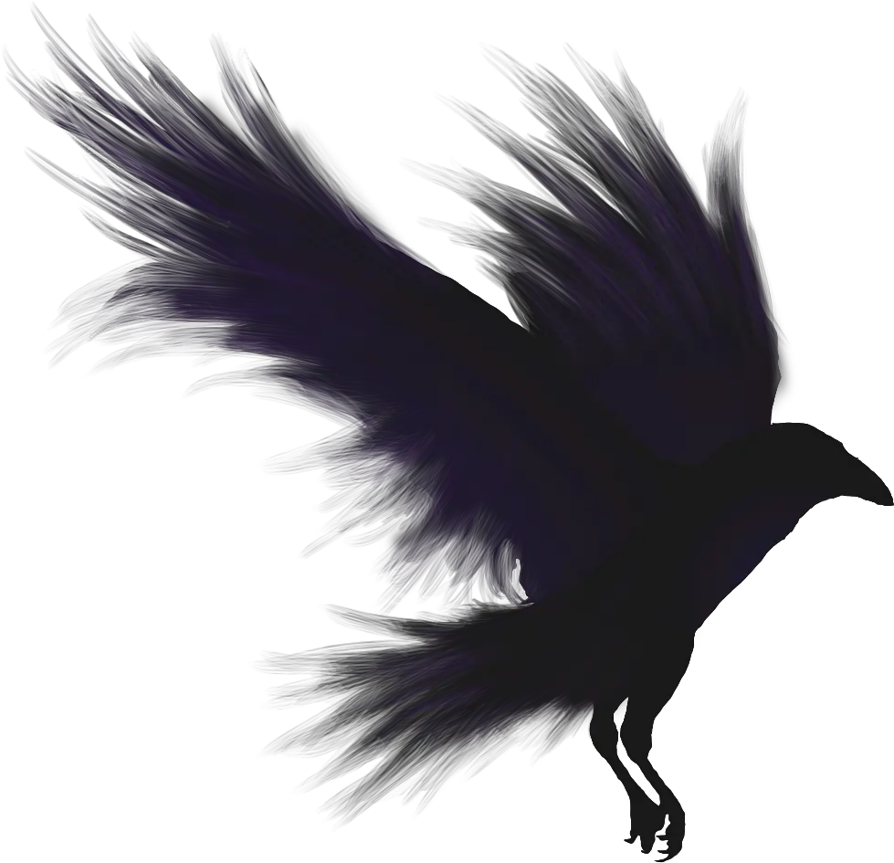 Raven Png Shadow Of A Crow