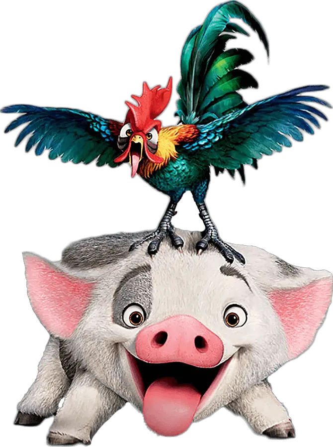 Pua Moana Png Moana Hei Hei Original