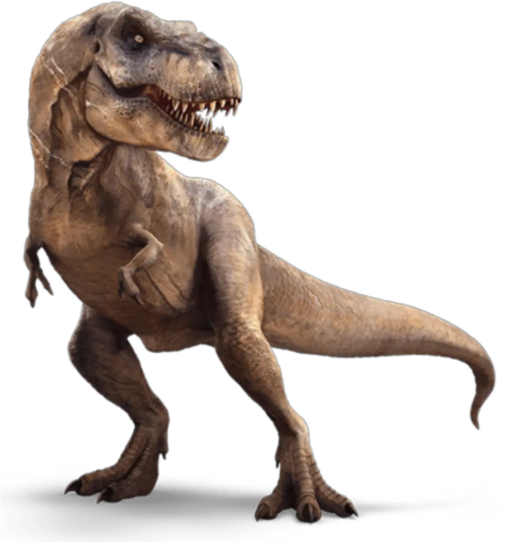 Tyrannosaurus Rex Mmartyniuk T Rex