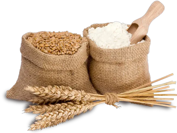 Wheat Flour Png