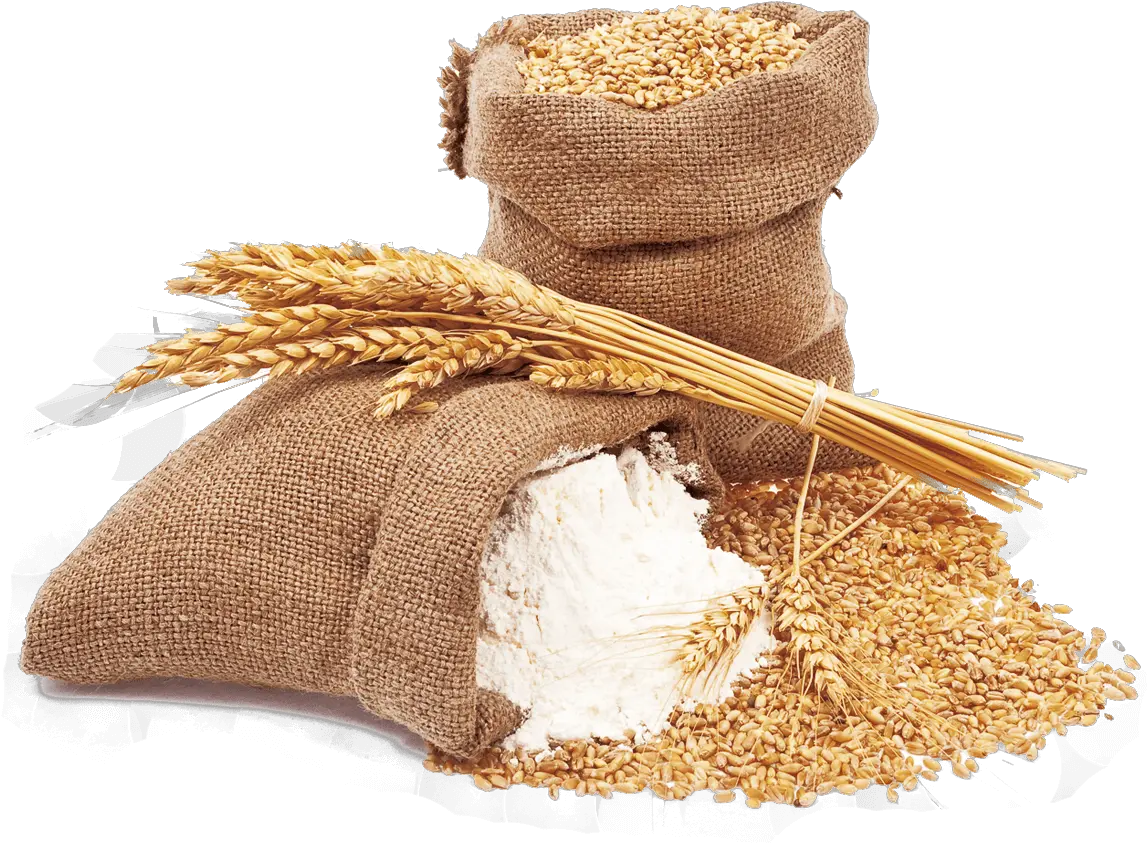 Wheat And Wheat Flour Wheat Flour Png