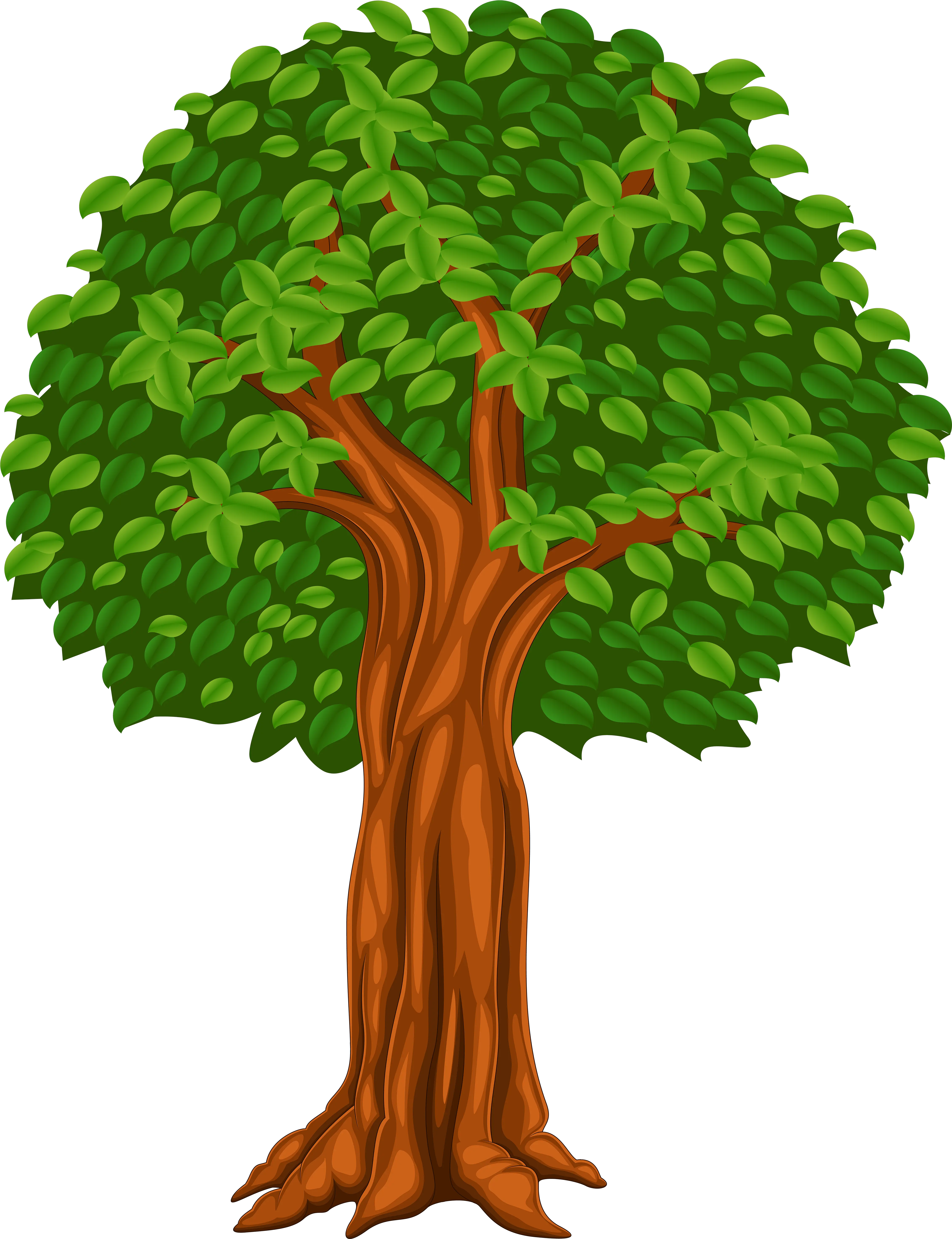 Cartoon Trees Png Transparent Tree Cartoon Png