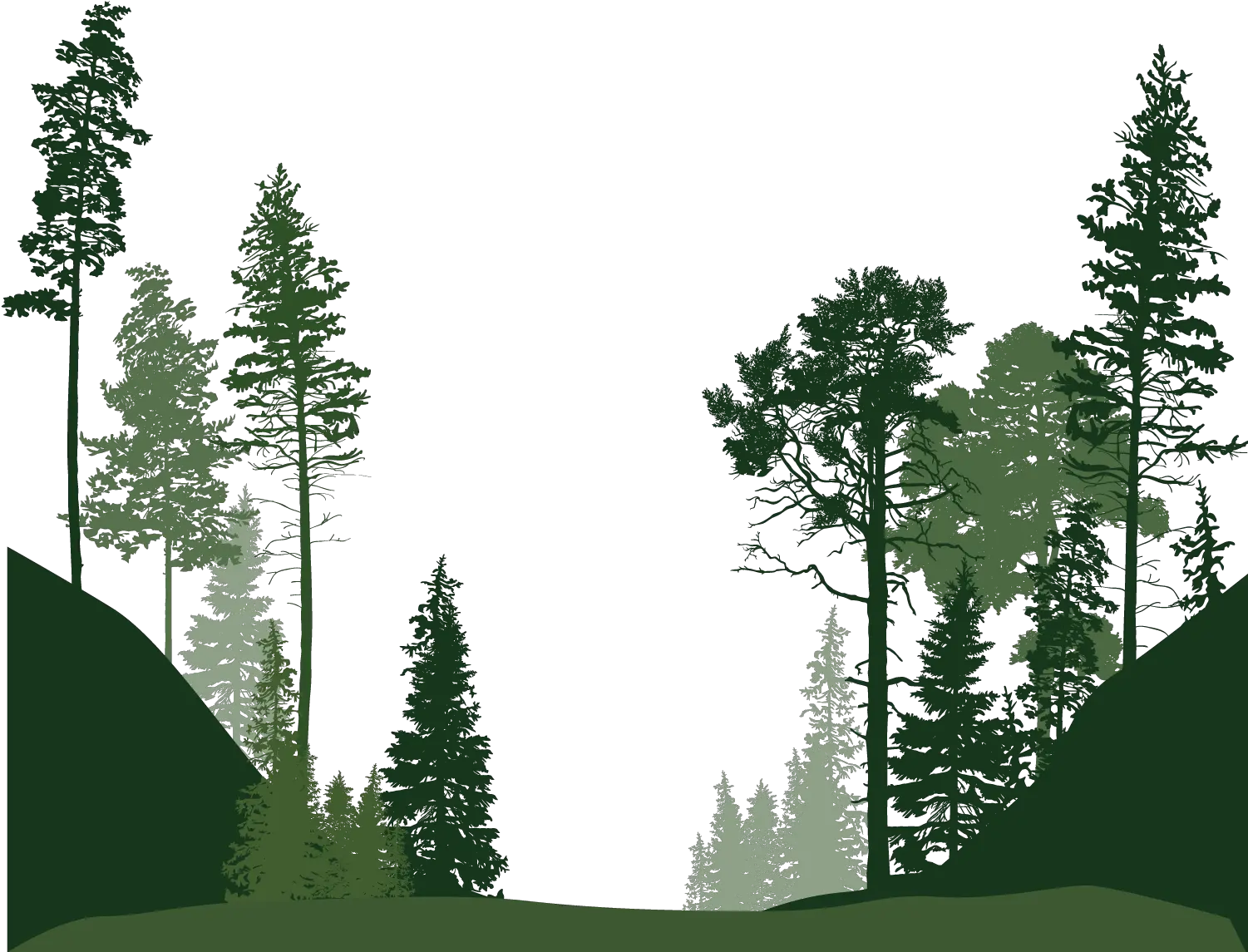 Transparent Forest Clipart Forest Trees Silhouette Png