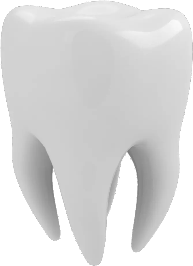 Human Tooth 3d Modeling Tooth Decay Three-dimensional Tooth 3d Model