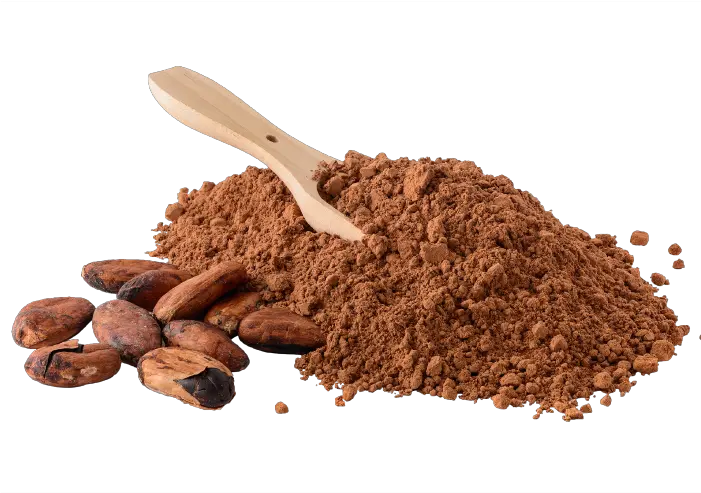 Cocoa Beans And Powder