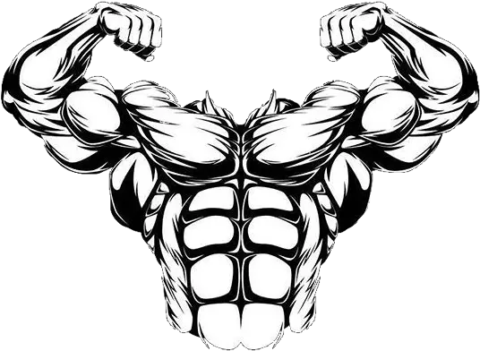 muscle muscles muscleman champion abs sixpack Transparent Cartoon Muscle Man