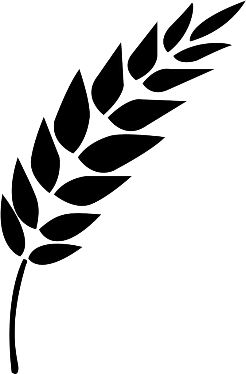 Wheat Vector Black And White Stalk Clipart Transparent Icon Vector Wheat Png
