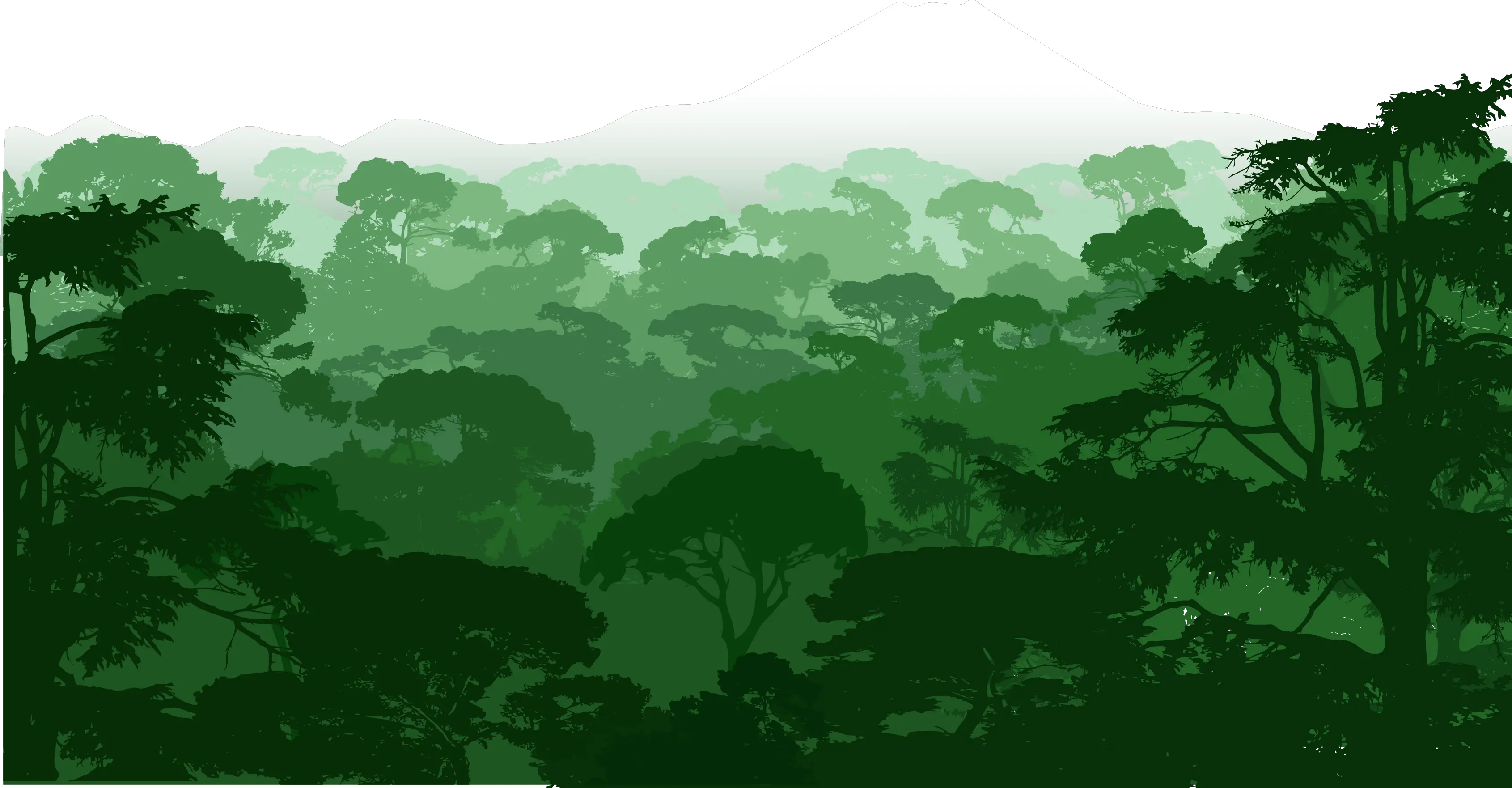 Transparent Landscape Clipart Forest Clipart