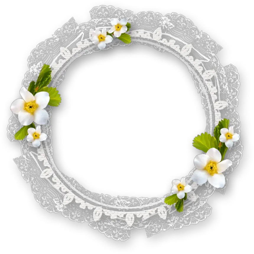 mq white circle flowers frame frames border White Flower Frame Png