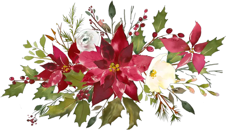 Christmas Flowers Png Watercolor