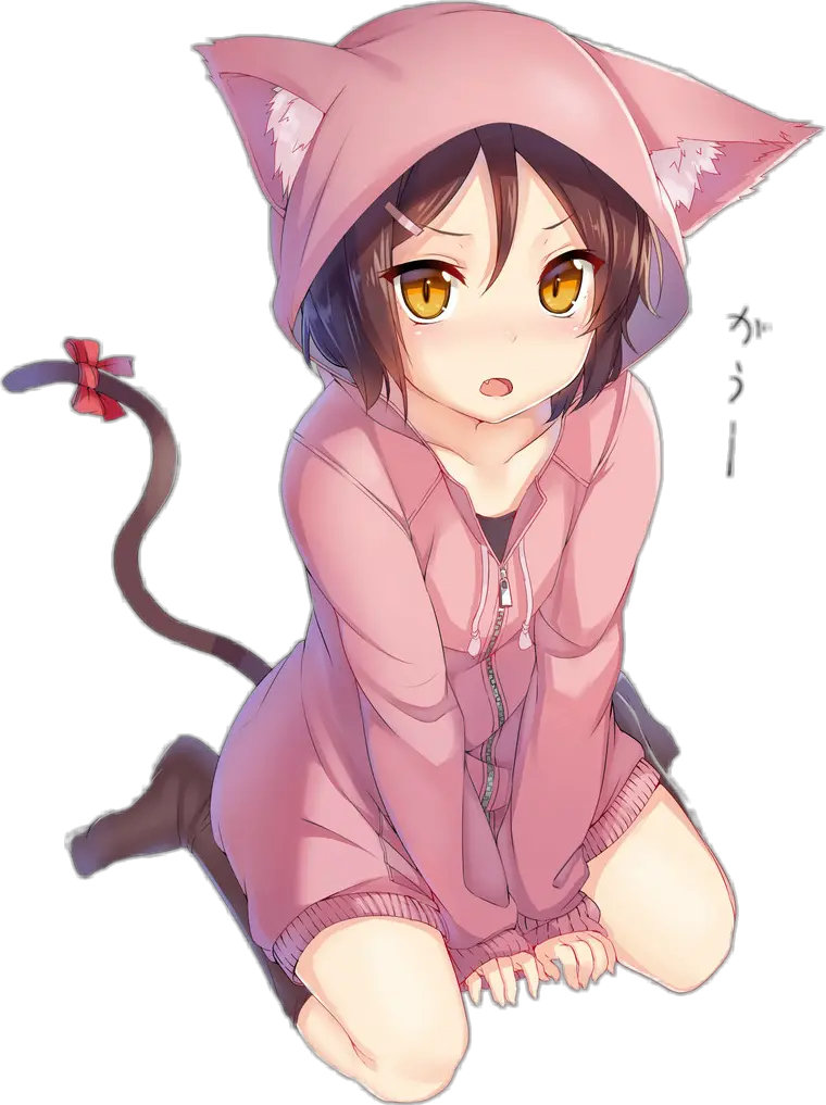 animegirl cat neko cute kawaii nekogirl catjacket Neko Anime Girl Cat Cute