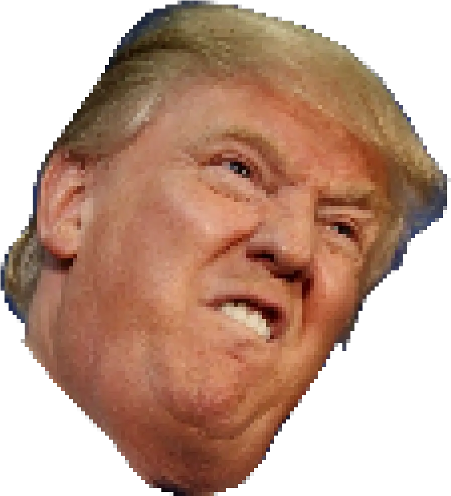 John Cena Head Png Stickers For Memes Messages Sticker Transparent Donald Trump Head