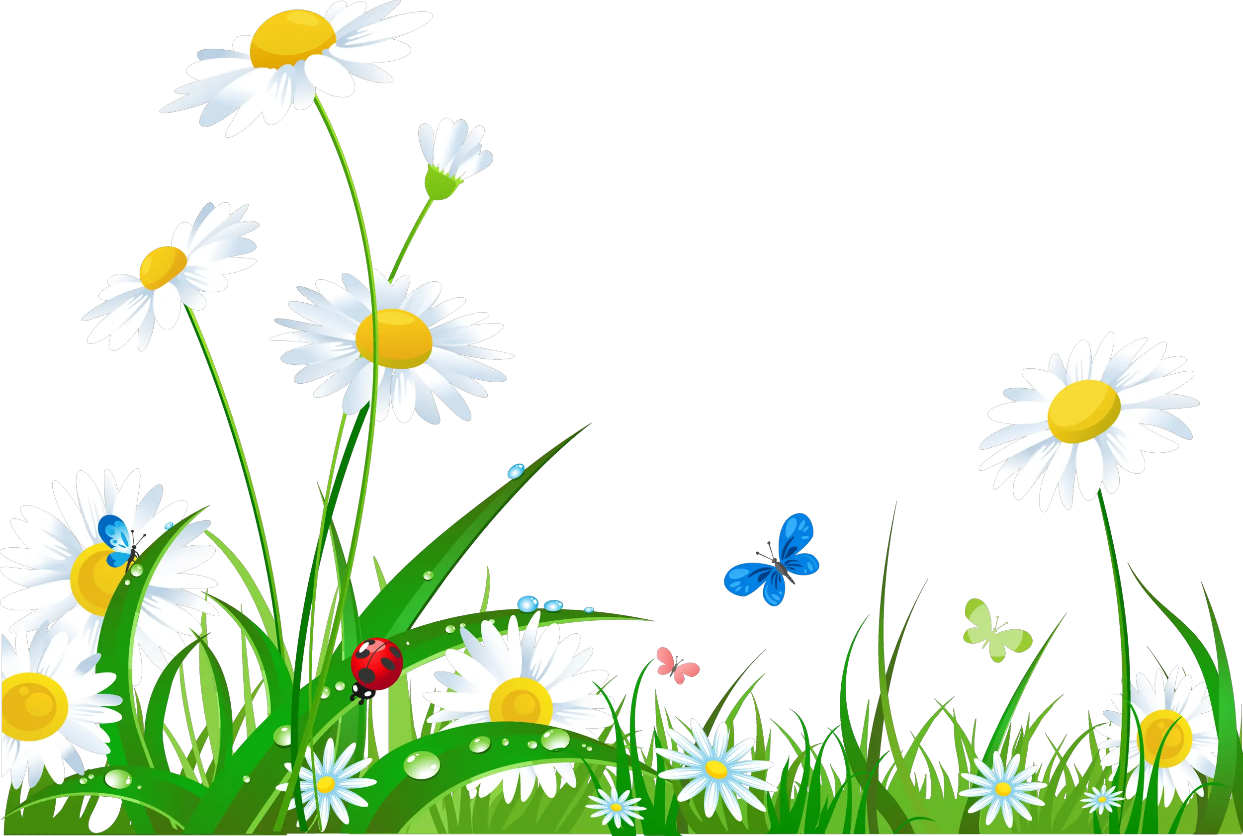 Laptop Desktop Wallpaper Flower High Resolution Flower Grass Png Hd