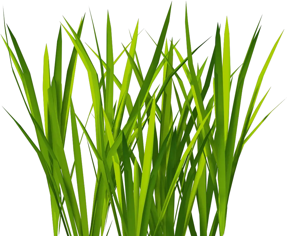 Transparent Bush Texture Png Transparent Grass Texture Png