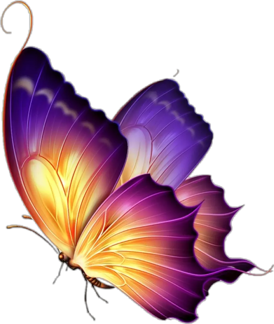 colormehappy butterflies nature naturestickers Butterfly Background Hd Png