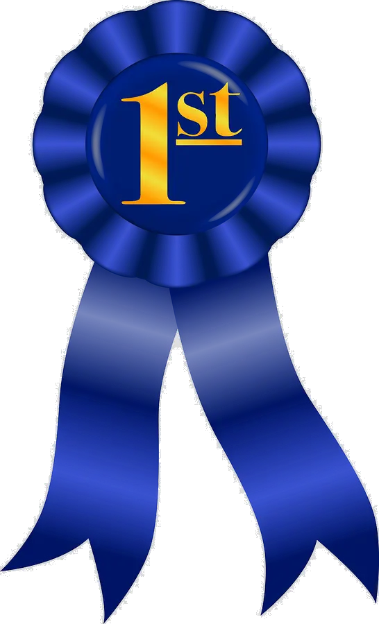 Award Transparent 1st First Place Ribbon Cartoon