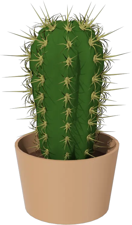 Cactus Png Image Кактус Png