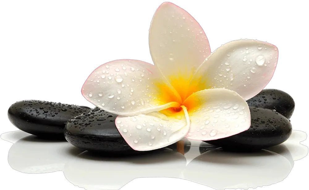 Flor Spa Png