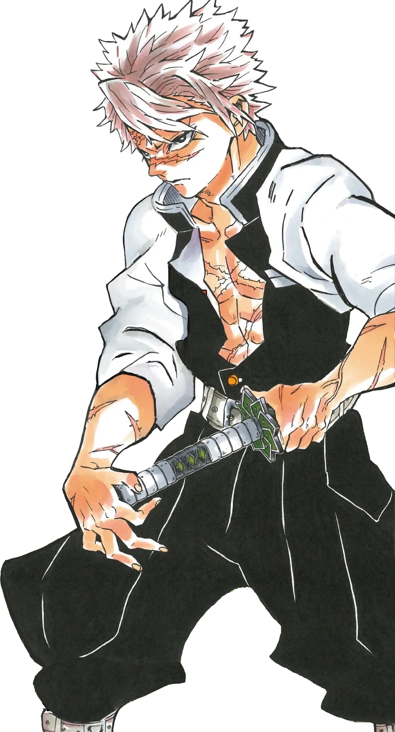 Kimetsu No Yaiba Wikia Kimetsu No Yaiba Sanemi