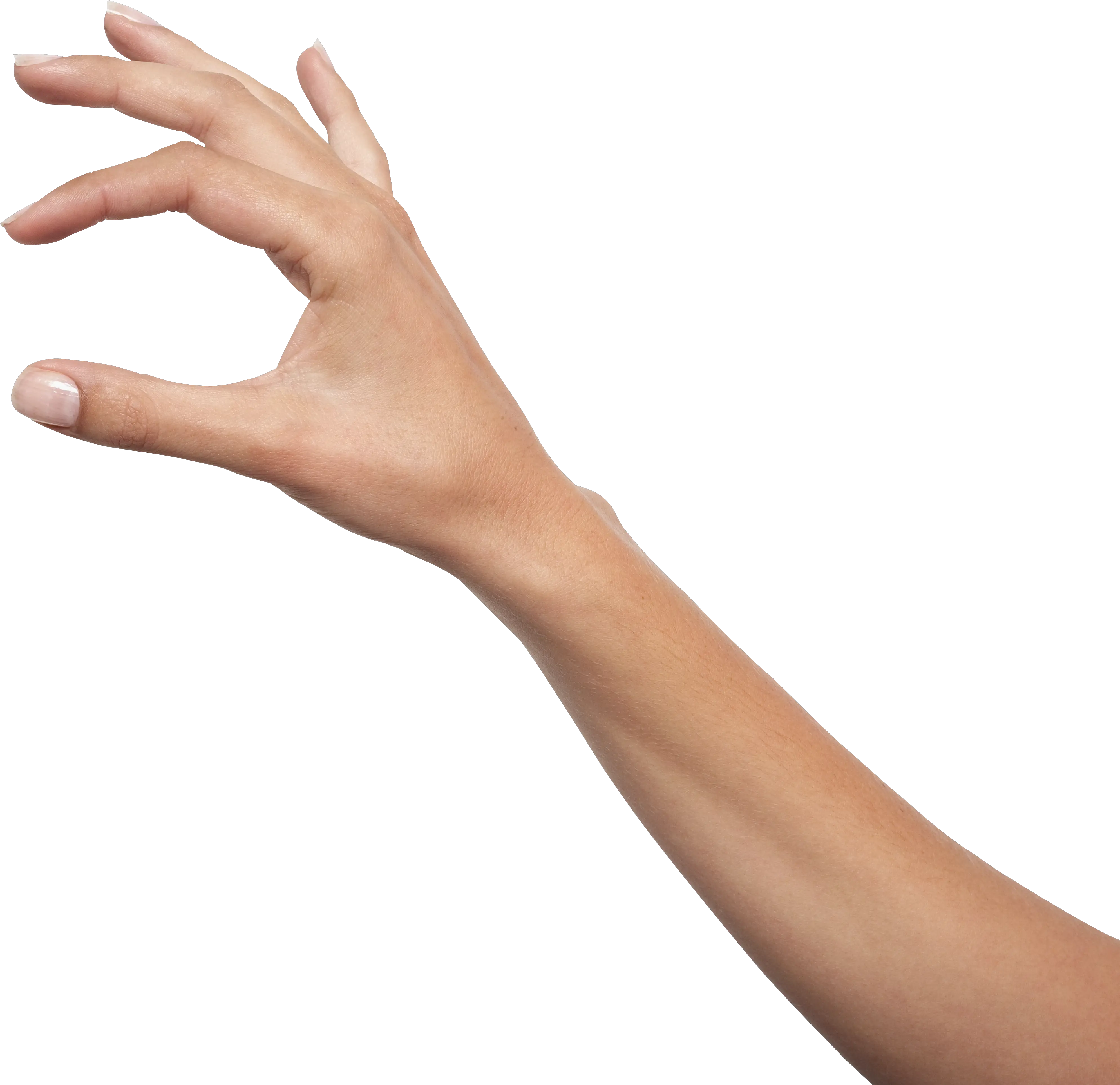 Holding Hands Icon Arm Png