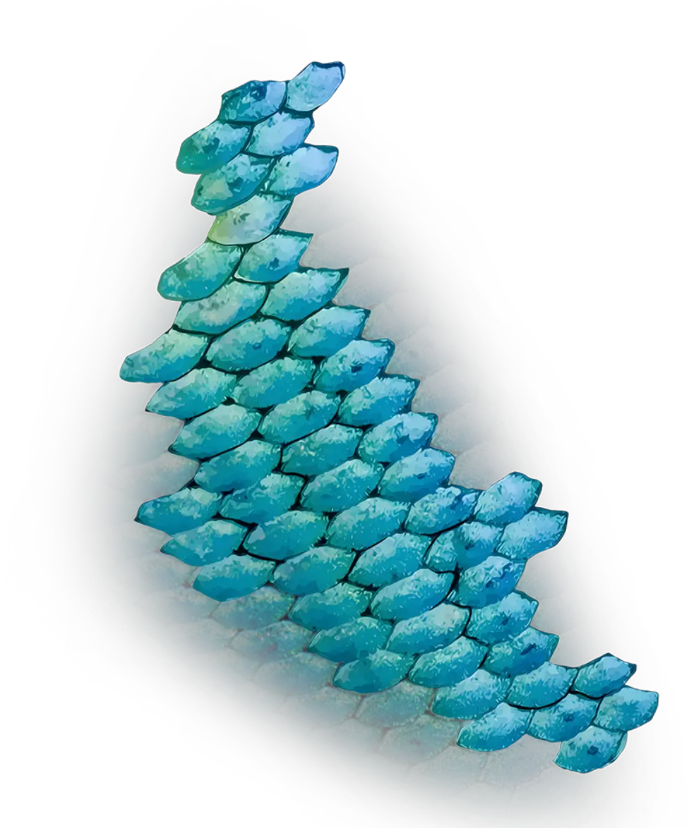 Mermaid Scales Png Mermaid Fish Scale Png