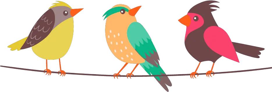 Birds Png Hd Images