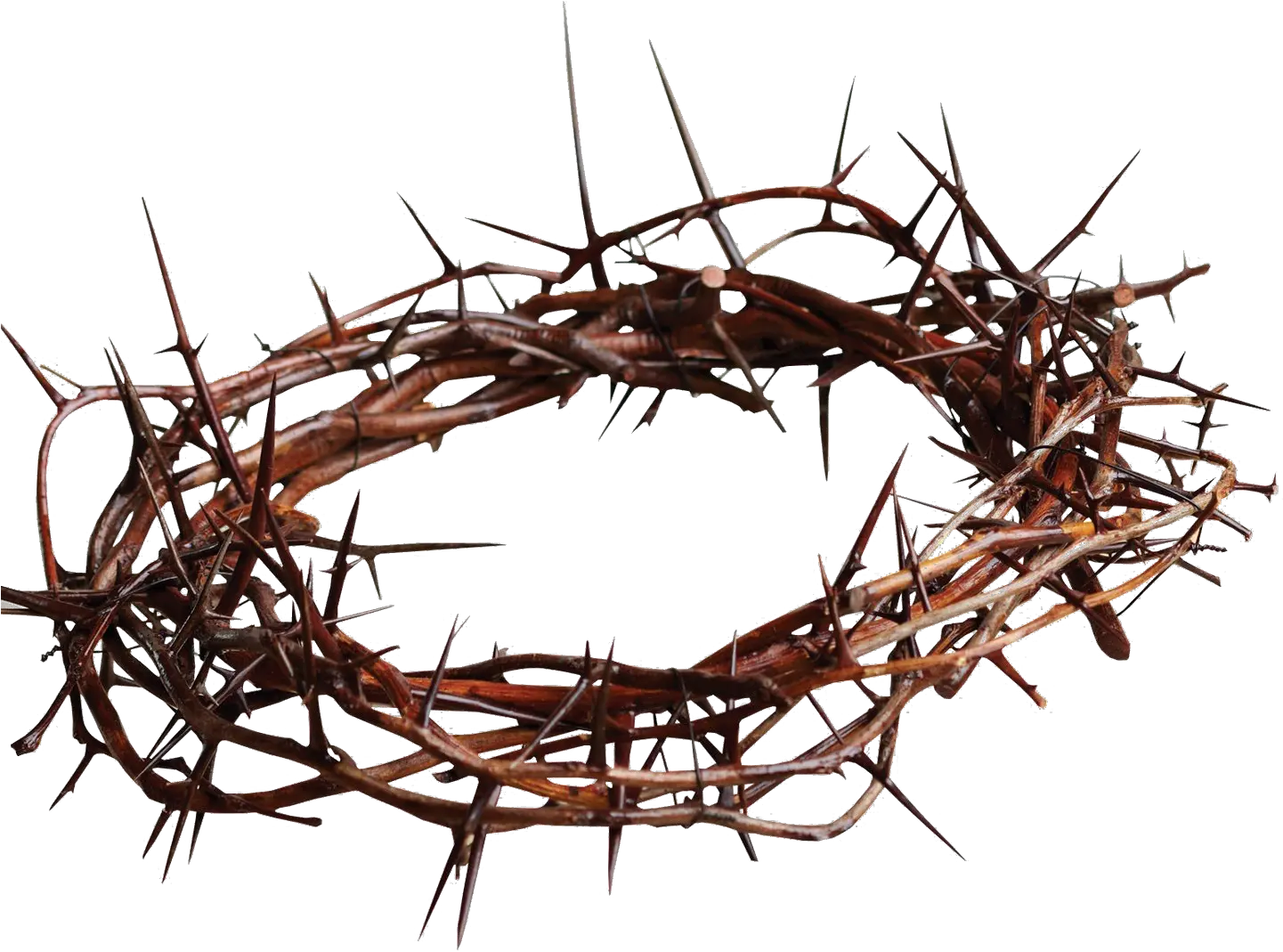 Jesus With Crown Of Thorns Christian Cross Gospel Spines Crown Of Thorns