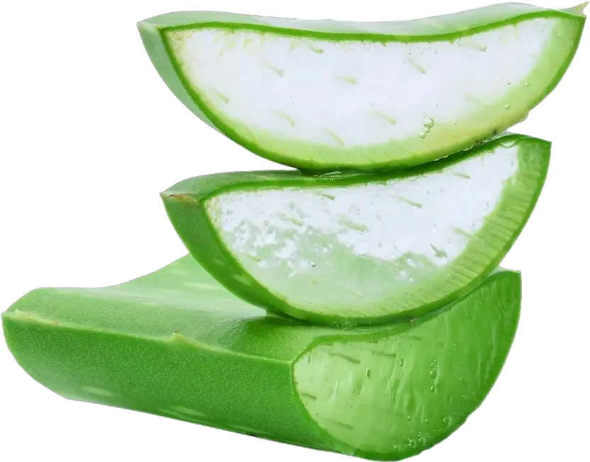 Aloe Vera Png Download Image Aloe Vera Gel Png