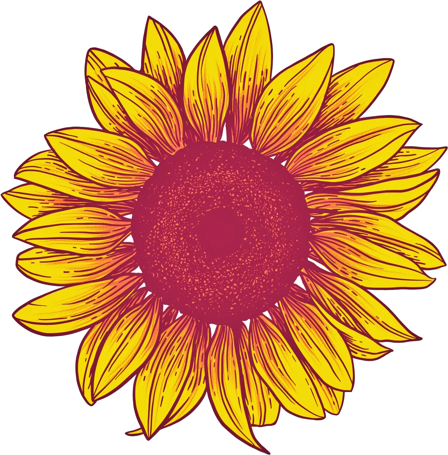 Sunflower Png Background Transparent Background Sunflower Png