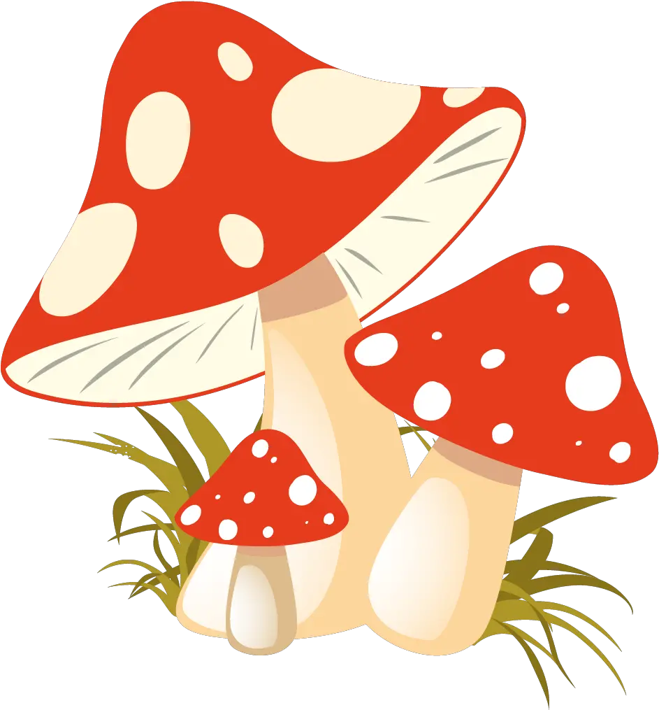 Autumn Mushroom Clipart