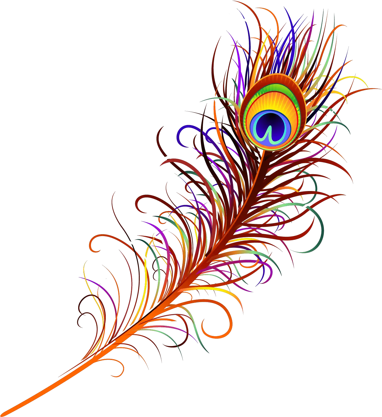 Peacock Feather Free Png Image Peacock Feather Png Vector