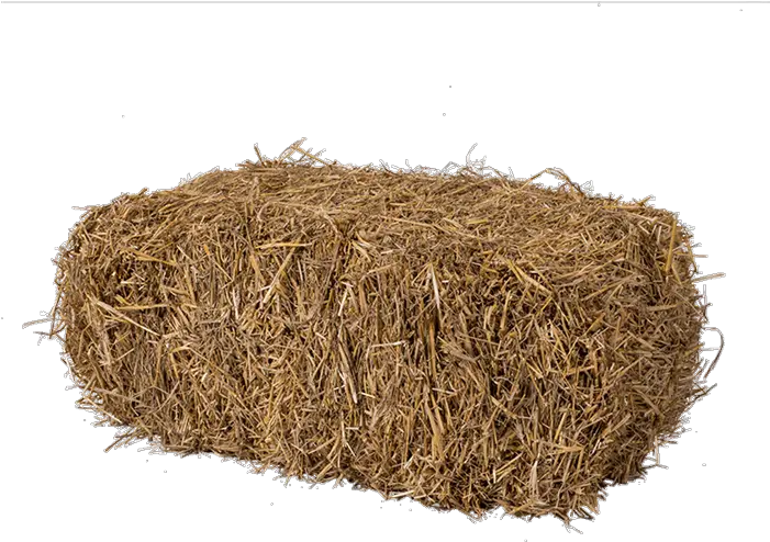 Hay Bale Png