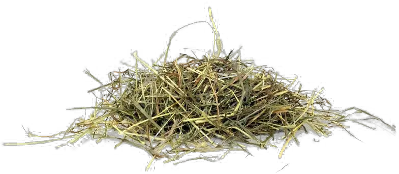 Hay Png Picture Grass Hay Png