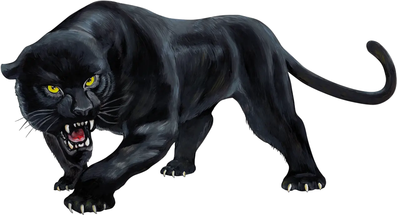 Real Panthera Sim D Full Body Black Panther Animal