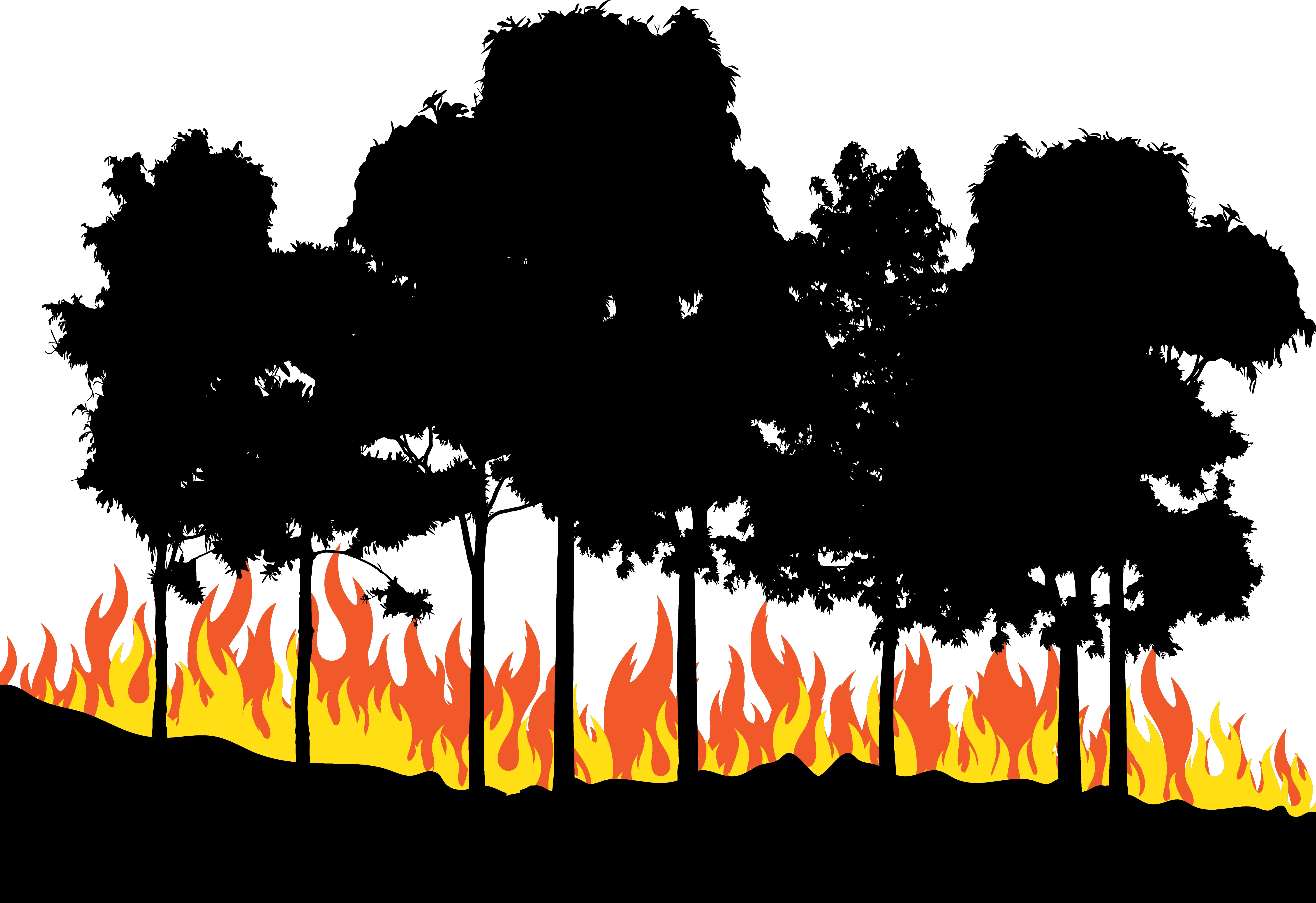 Fire Euclidean Vector Forest Fire Png