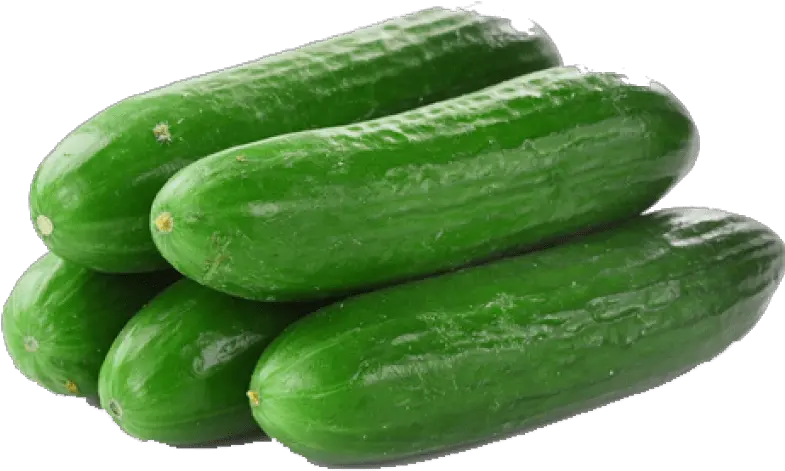 Cucumber Png Transparent Images Transparent Background Cucumber Png