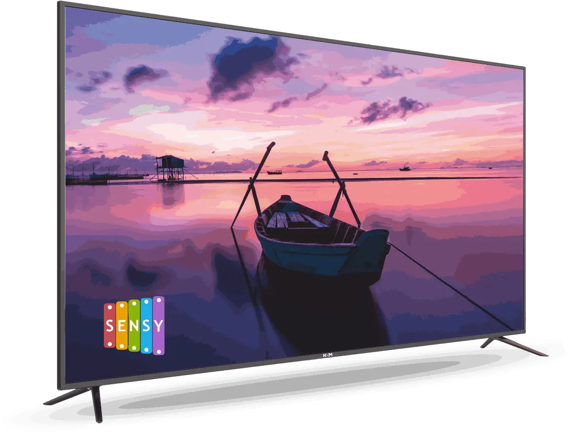 49 Hom 55 Inch Led Tv