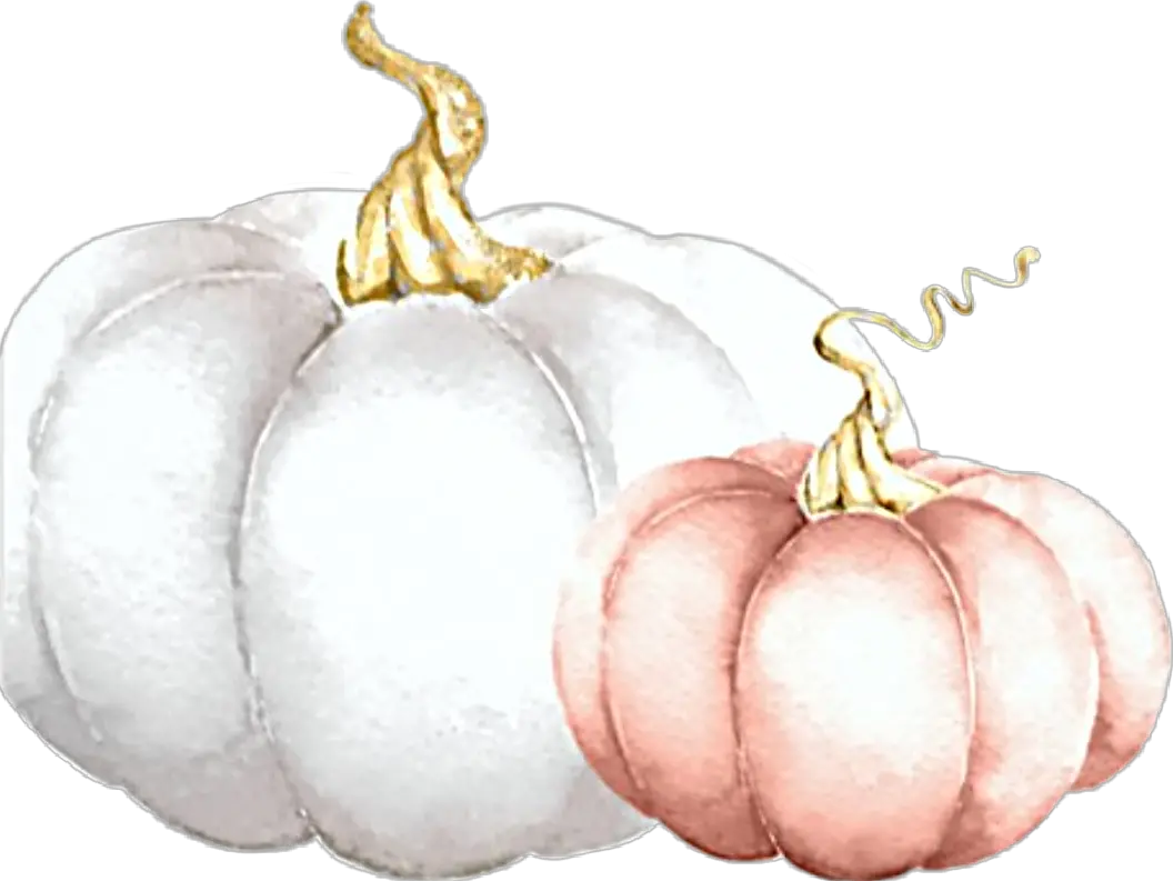 watercolor pumpkins white pink fall autumn harvest Pumpkin