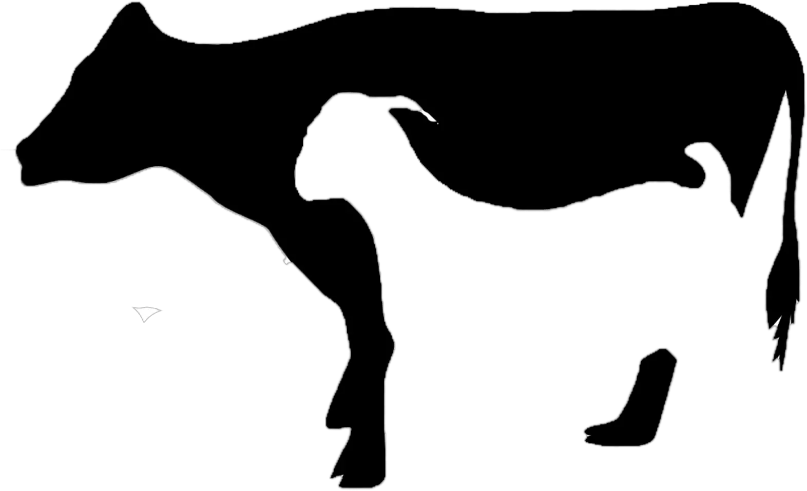 Cattle Clipart Qurbani Sapi Dan Kambing Png