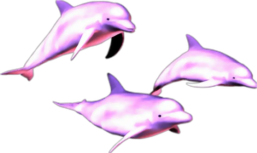 Mq Pink Dolphin Dolphins Animal Vaporwave Dolphin Png