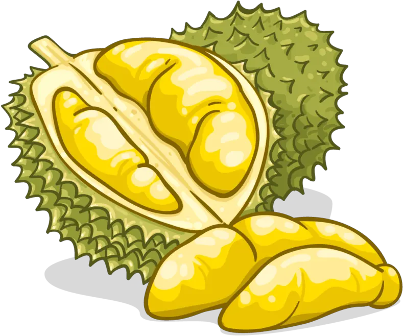 Durian Durian Clipart Png